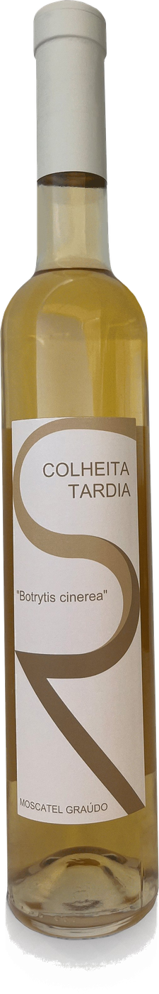 Sangue Real Colheita Tardia Botrytis